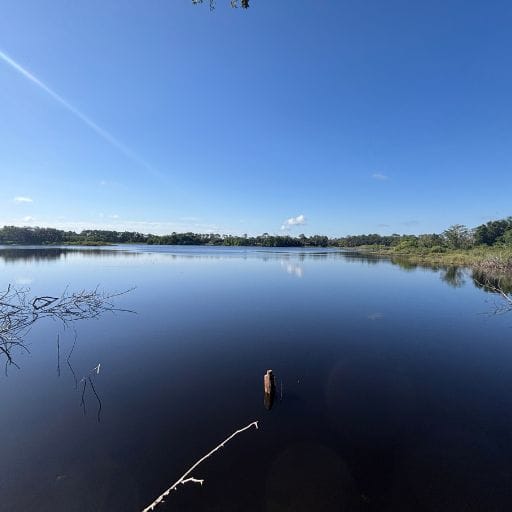 Peaceful lake view from Colby-Alderman Park near Cassadaga, Florida.