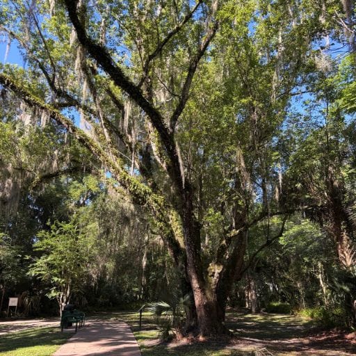 Accessible paved and boardwalk path at Colby-Alderman Park in Lake Helen, Florida.