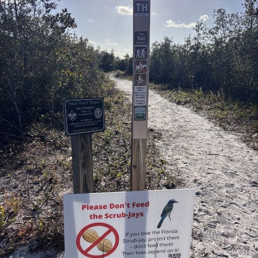 Rusty Lyonia trail marker beside a sign asking visitors not to feed the Florida scrub jays.